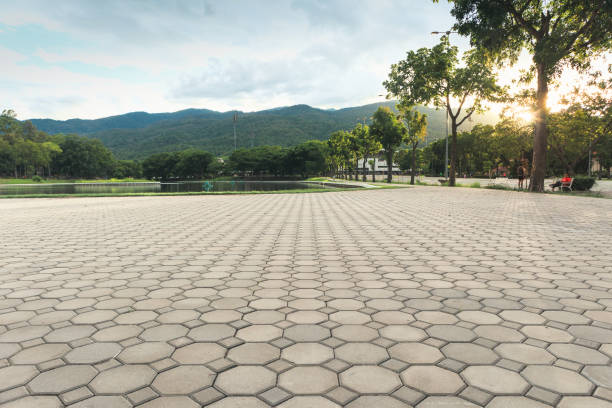 Best Residential Paver Driveway  in Nisswa, MN