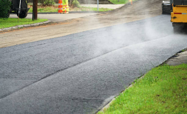 Best Local Driveway Pavers  in Nisswa, MN
